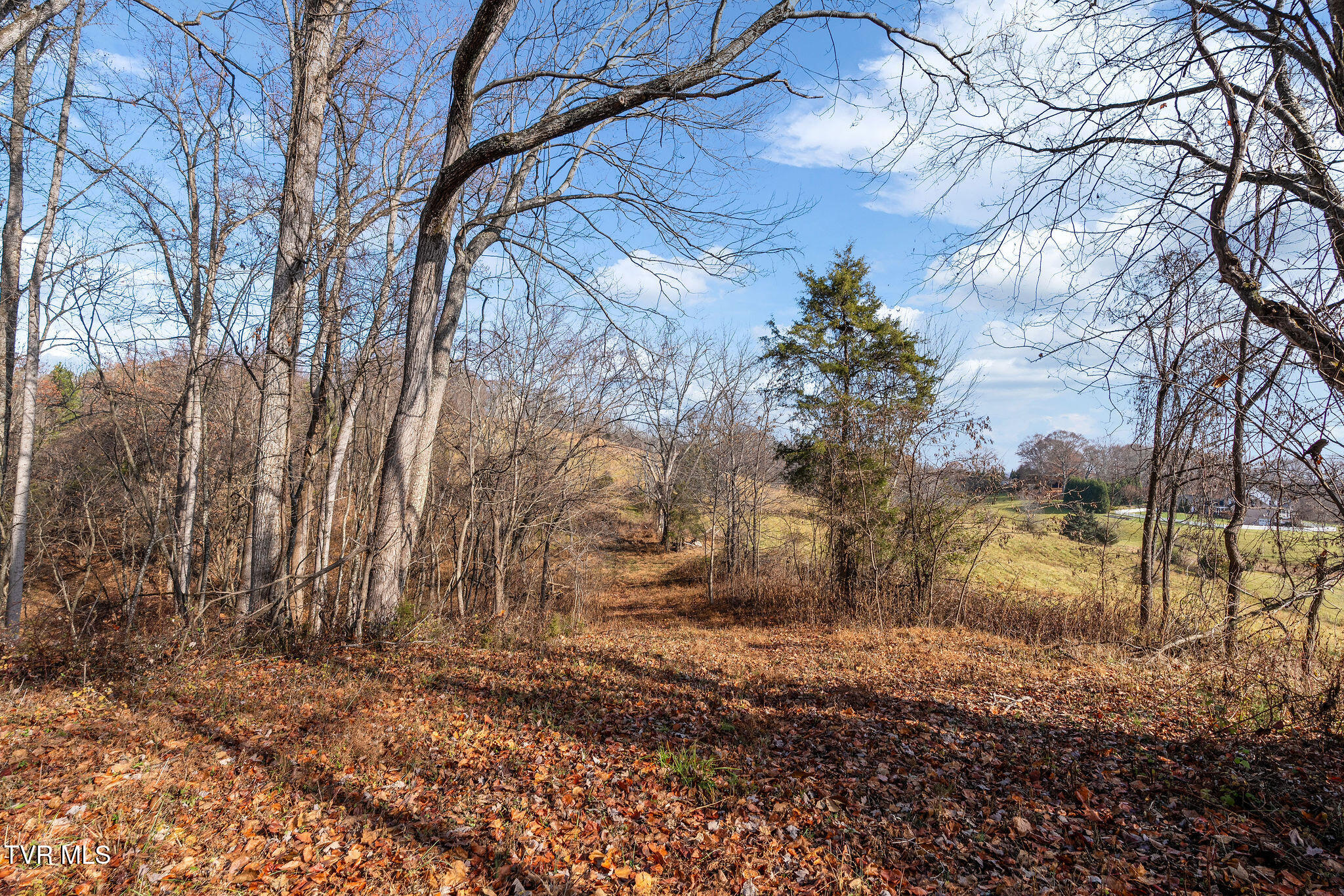 Tbd Birds Eye View Jonesborough, TN 37659 - Photo 14 of 16 DSC00920