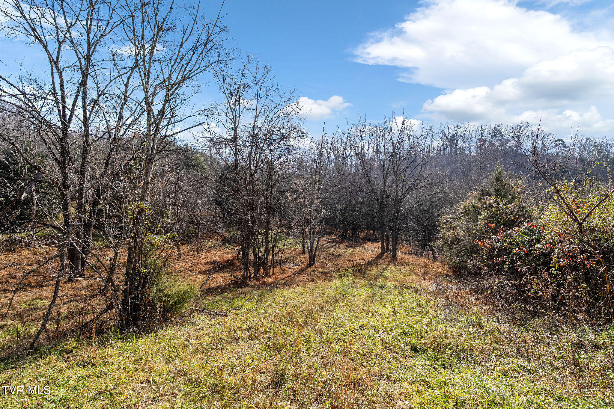 Tbd Birds Eye View Jonesborough, TN 37659 - Photo 16 of 16 DSC00928