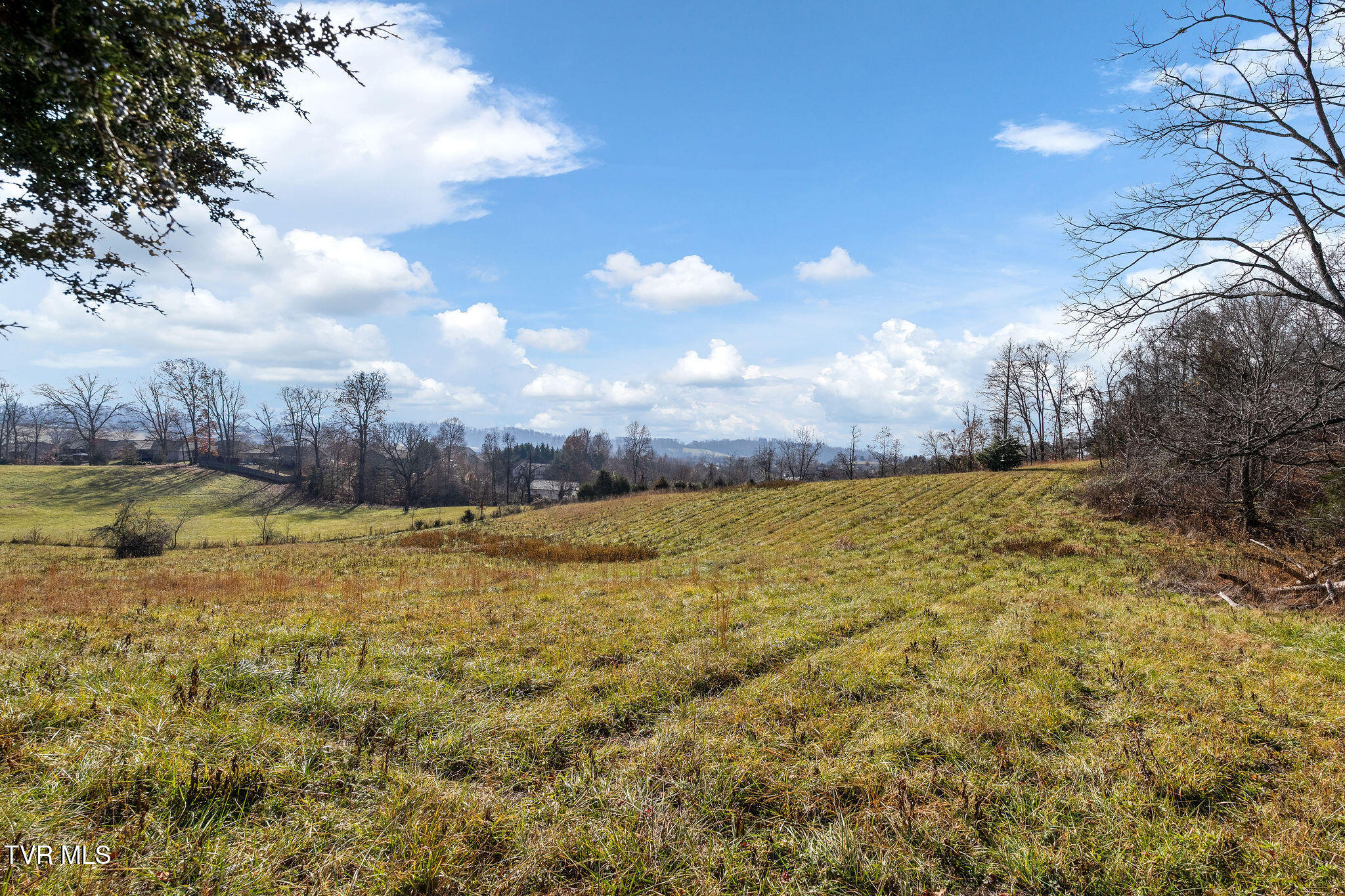 Tbd Birds Eye View Jonesborough, TN 37659 - Photo 6 of 16 DSC00906