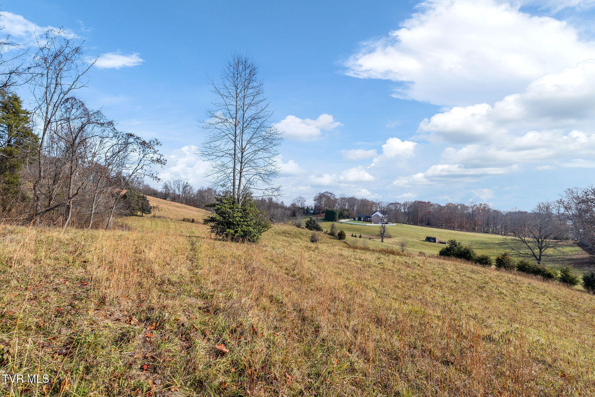 Tbd Birds Eye View Jonesborough, TN 37659 - Photo 8 of 16 DSC00913