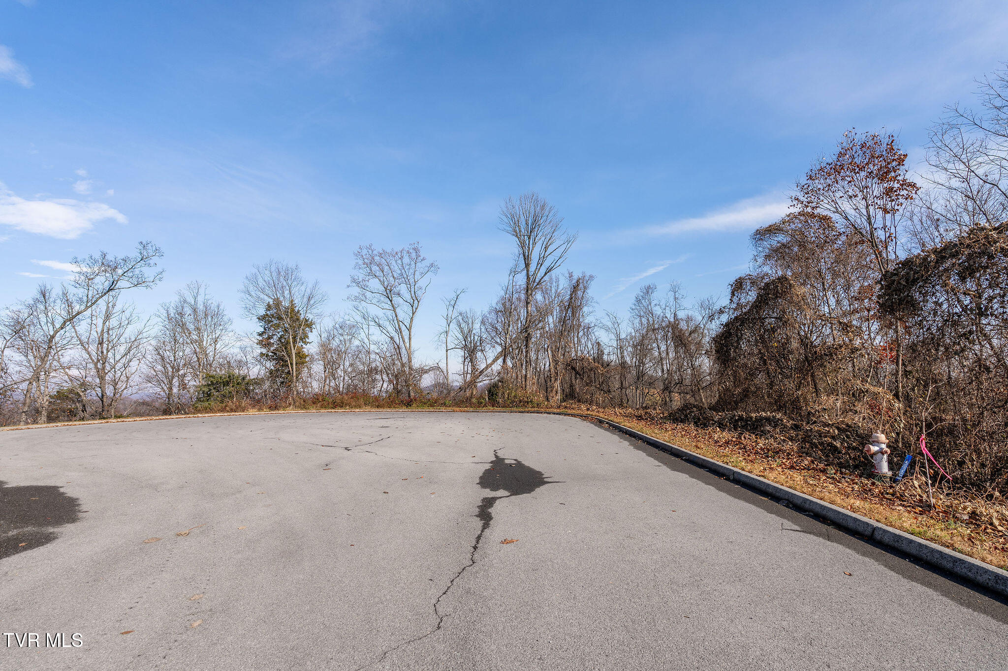 Tbd Birds Eye View Jonesborough, TN 37659 - Photo 9 of 16 DSC00915
