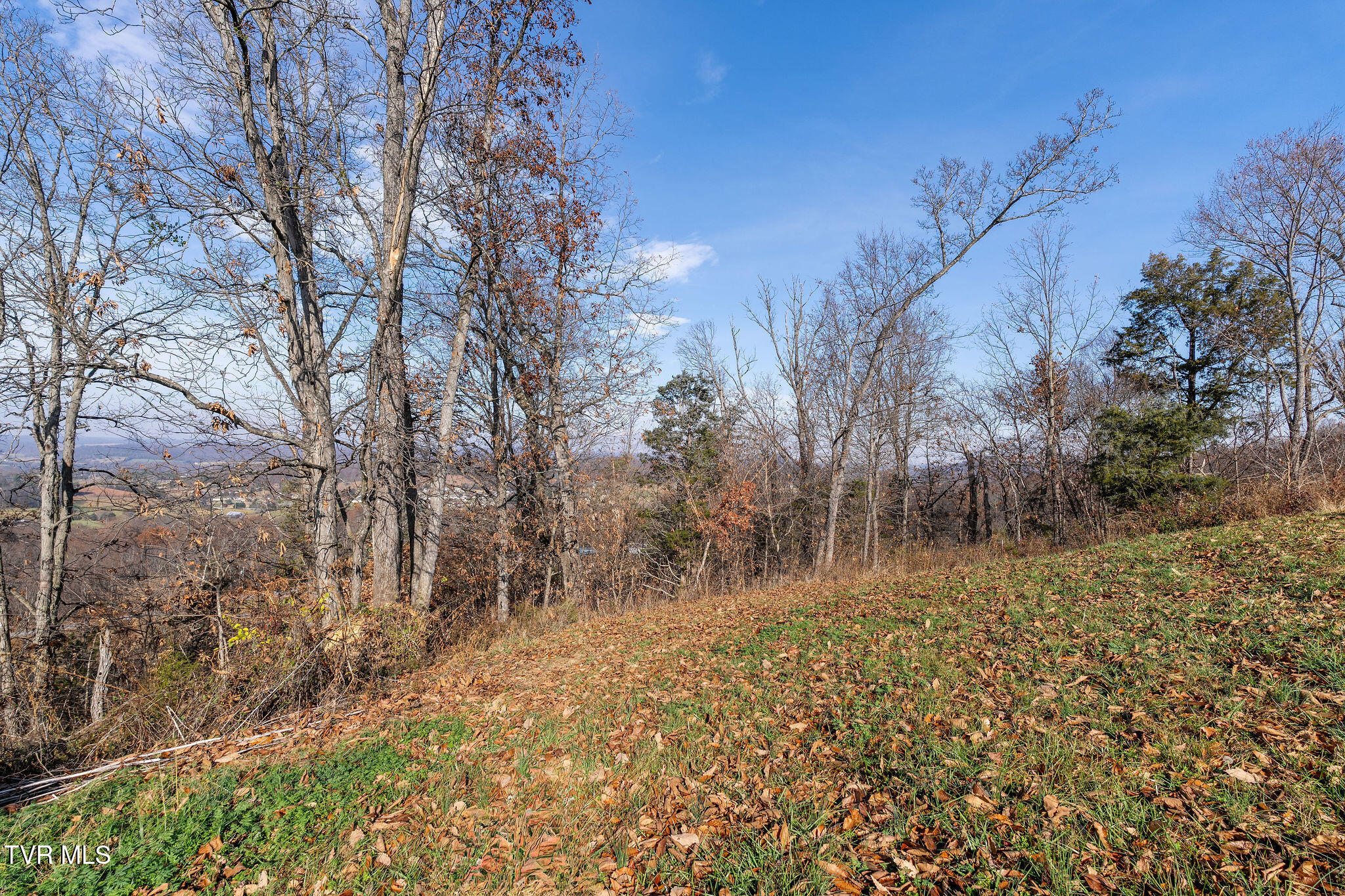 Tbd Birds Eye View Jonesborough, TN 37659 - Photo 10 of 16 DSC00916