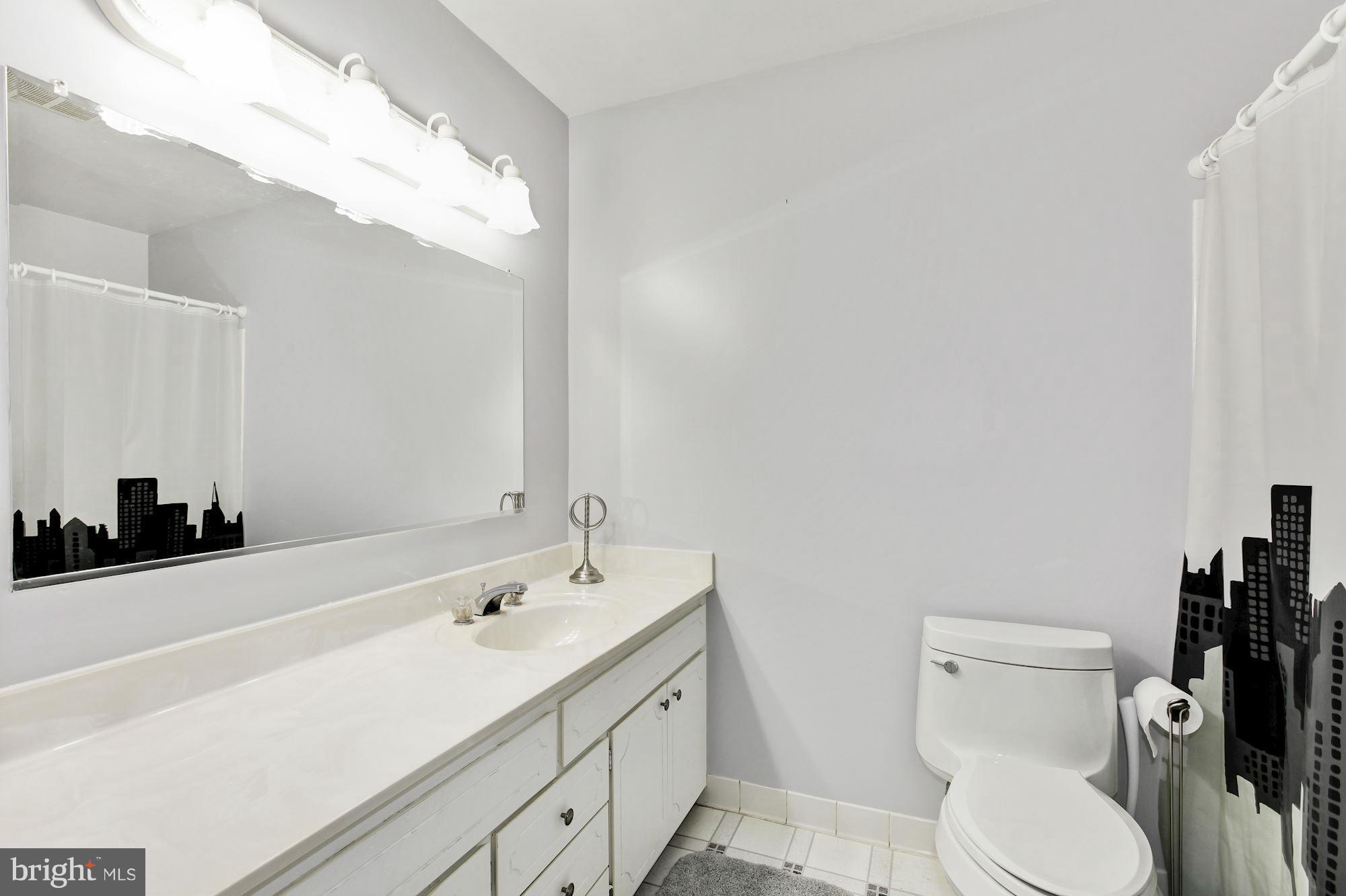 10009 Clearspring Road Damascus, MD 20872 - Photo 22 of 30 Bath