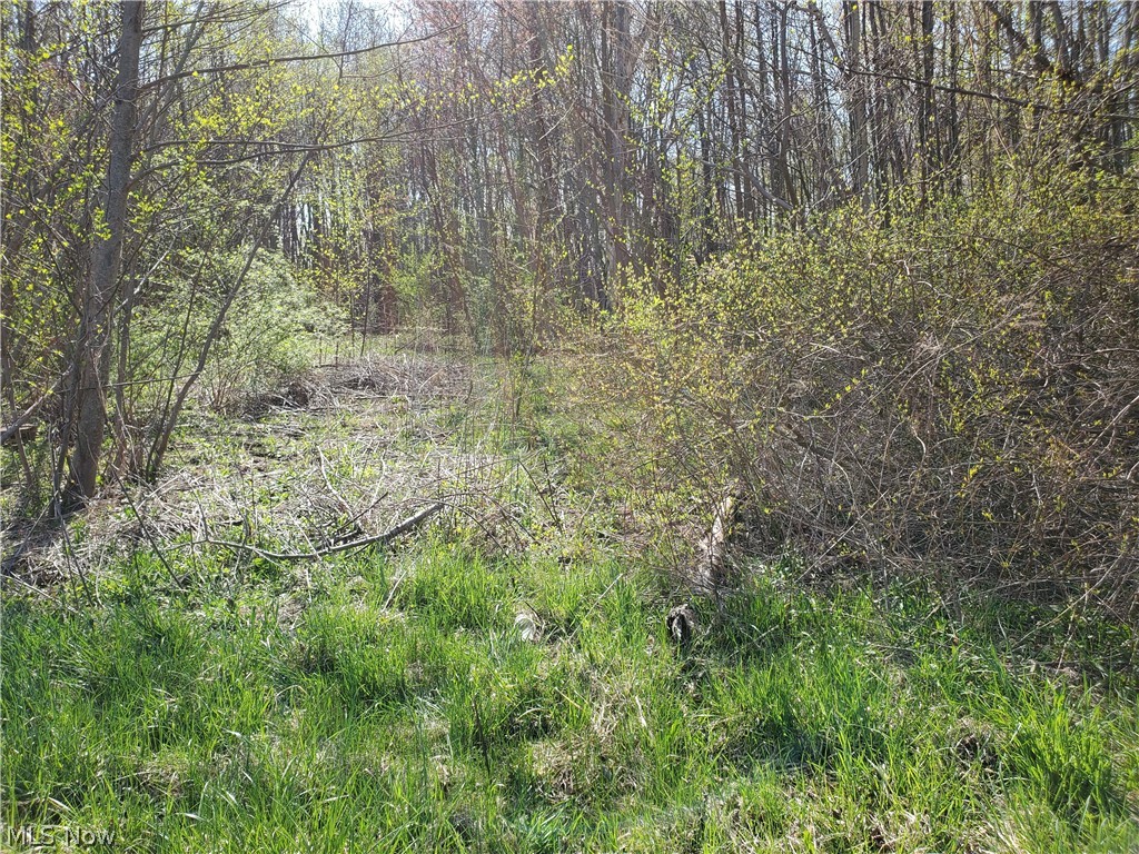 North County Line Road Geneva, OH 44041 - Photo 3 of 3