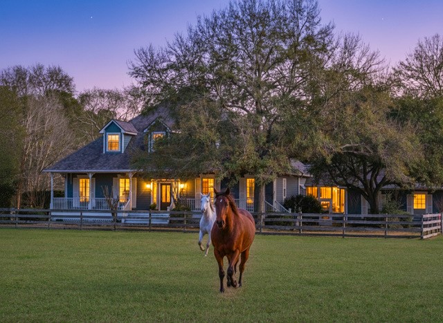 a view of outdoor space yard and patio