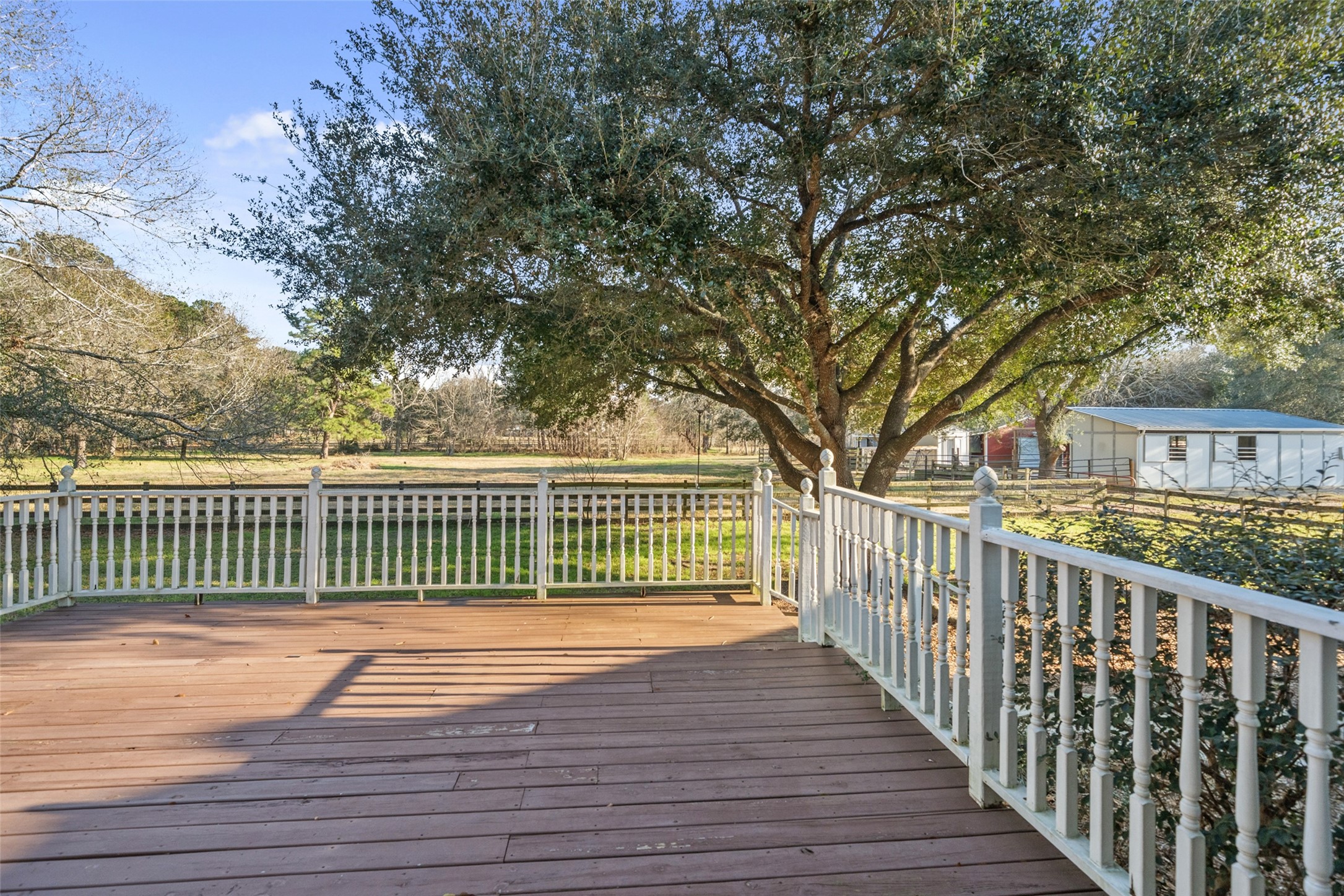 36003 Post Oak Circle Magnolia, TX 77355 - Photo 32 of 50 a view of a deck with a trees