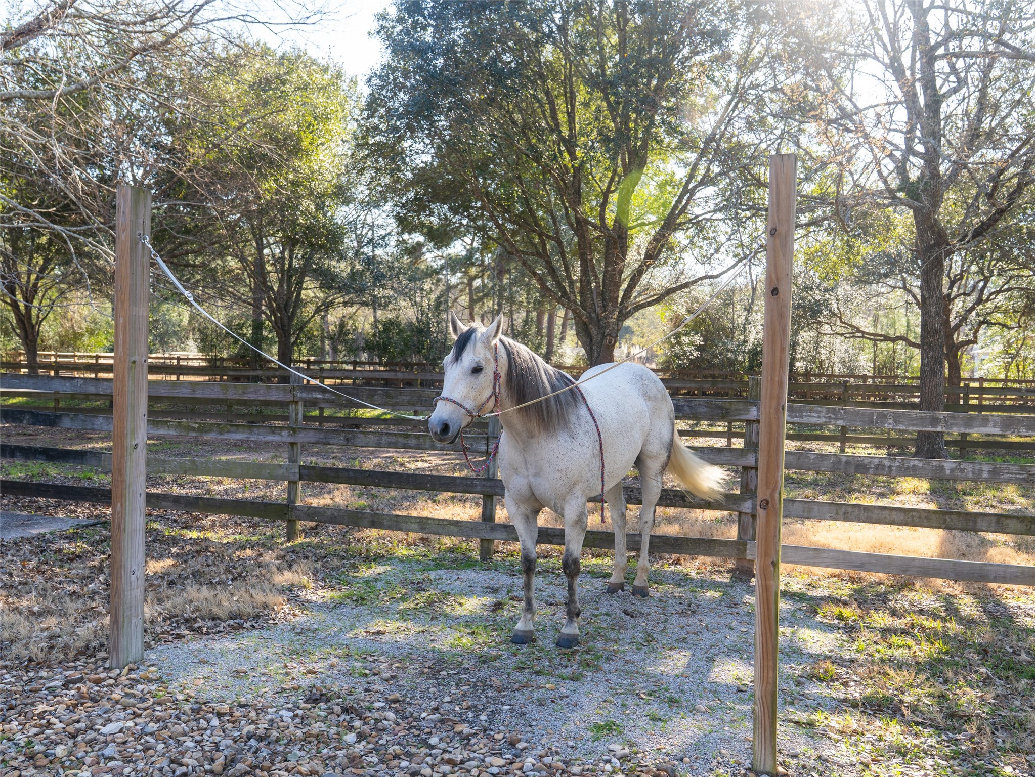 36003 Post Oak Circle Magnolia, TX 77355 - Photo 40 of 50