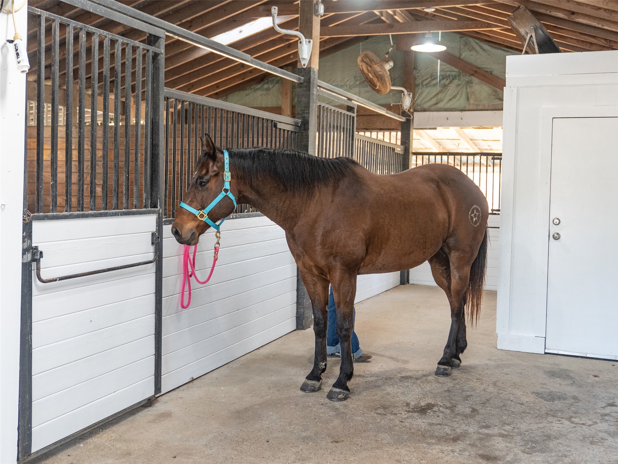 36003 Post Oak Circle Magnolia, TX 77355 - Photo 4 of 50