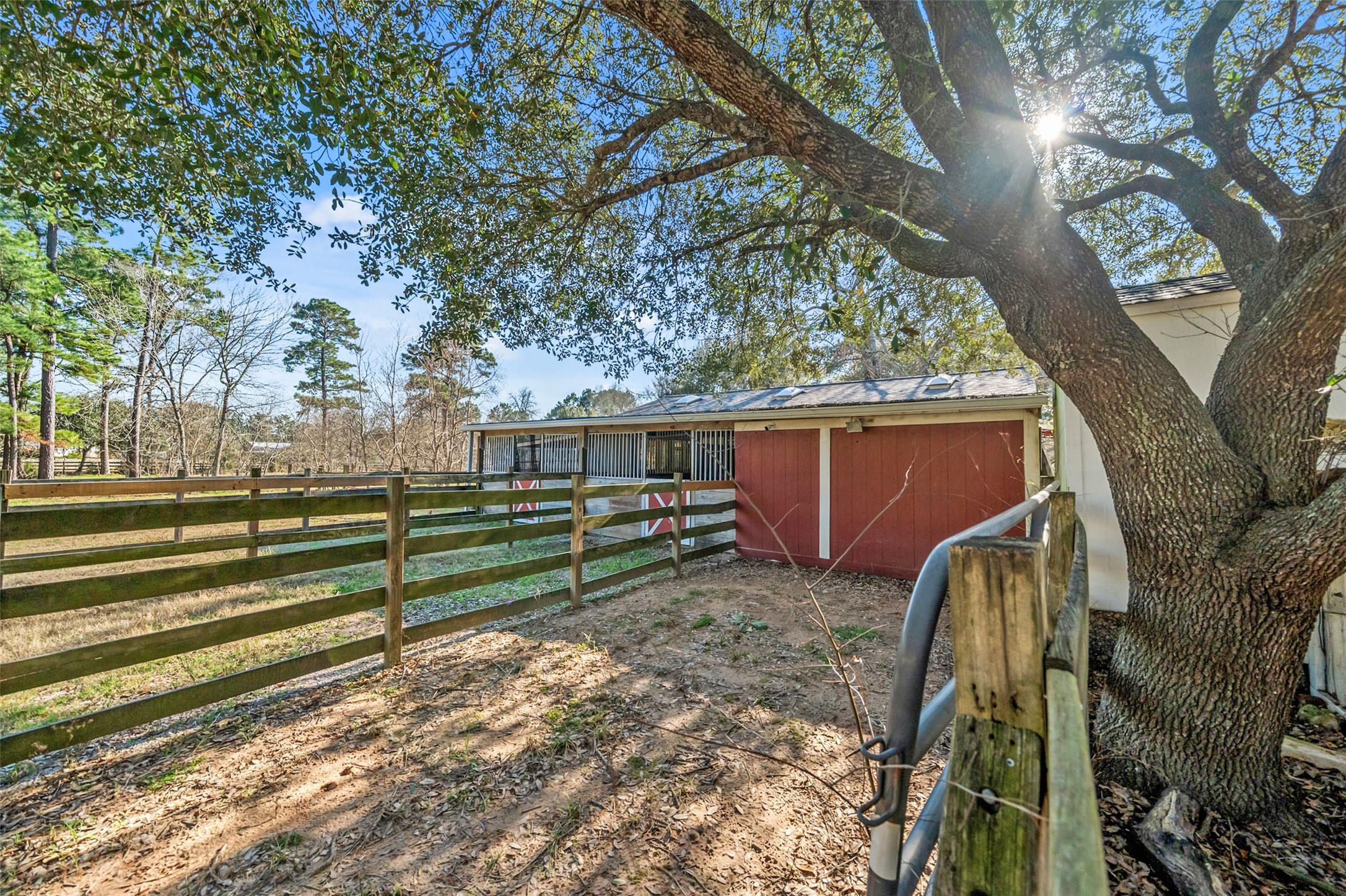 36003 Post Oak Circle Magnolia, TX 77355 - Photo 42 of 50 a view of a yard with large trees