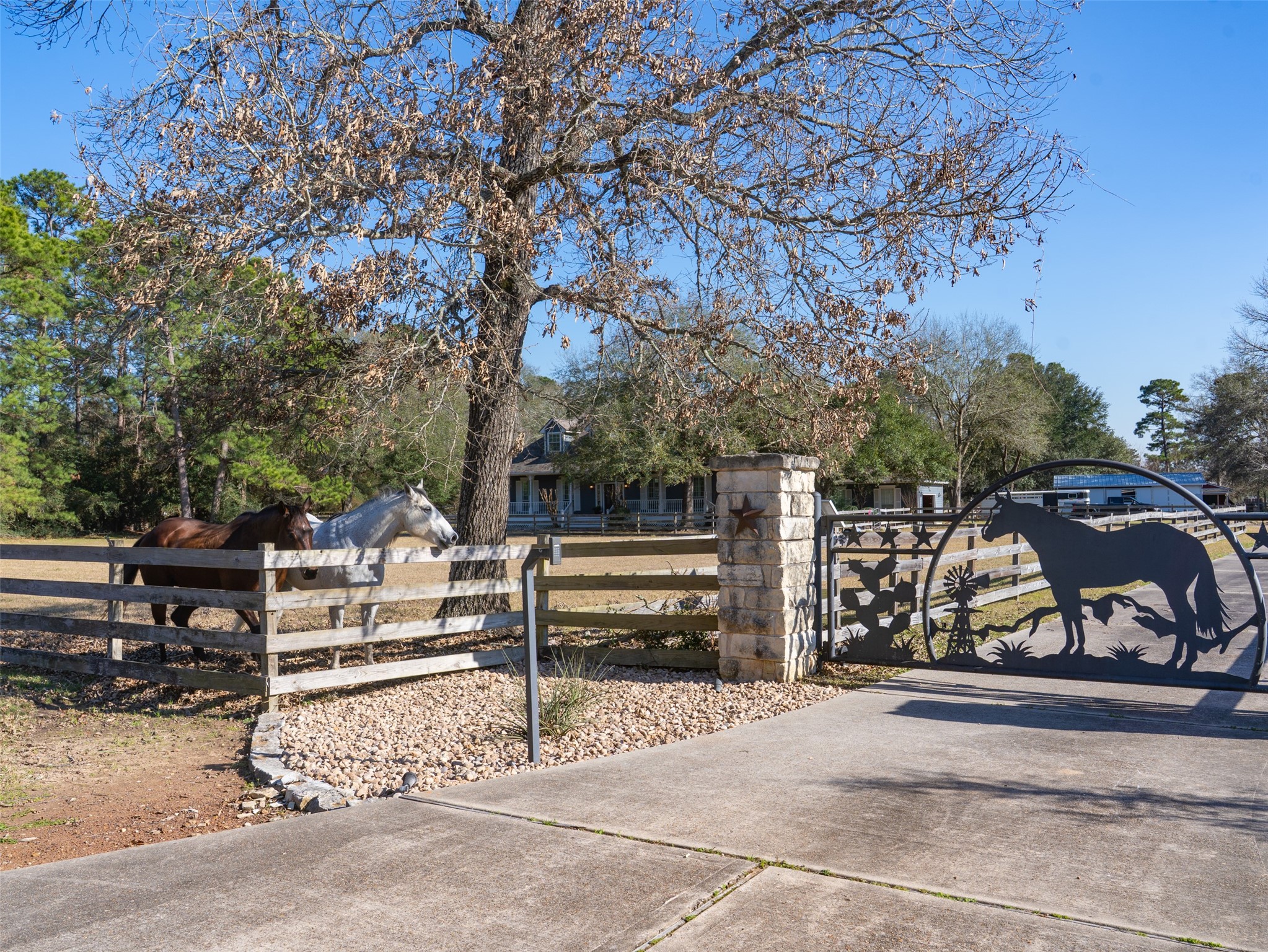36003 Post Oak Circle Magnolia, TX 77355 - Photo 7 of 50 a view of a bench in the patio