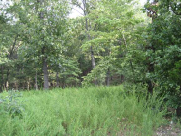 Lot 10 Timber Ridge Hollister, MO 65672 - Photo 1 of 1 Primary Photo