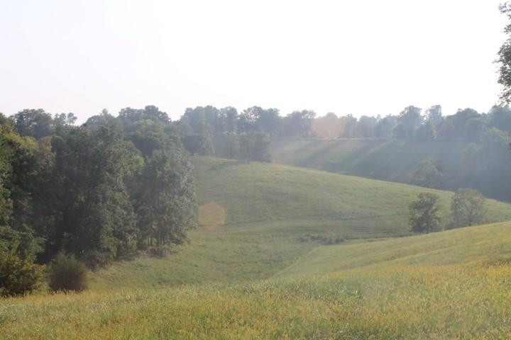 100 Burris Road Carlisle, KY 40311 - Photo 2 of 7 Photo 2