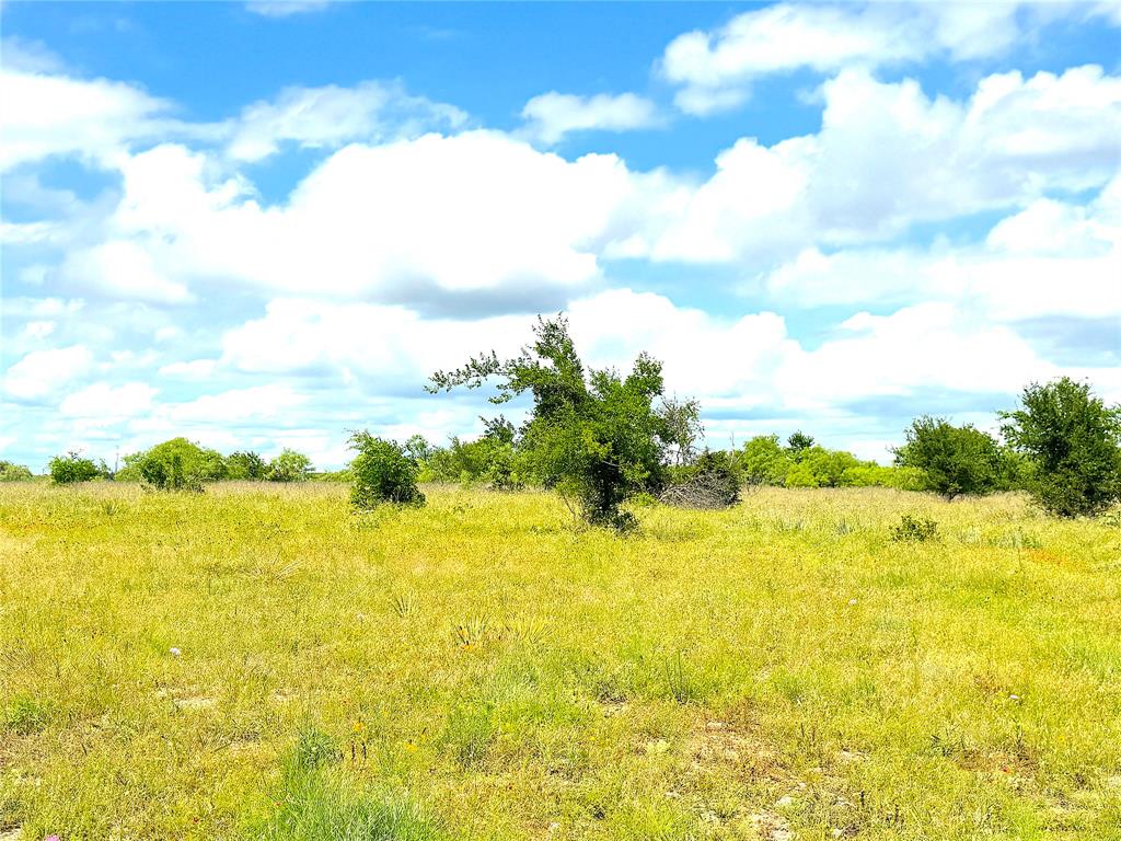 1020 Goodnight Trail Perrin, TX 76486 - Photo 6 of 14 a view of an ocean view