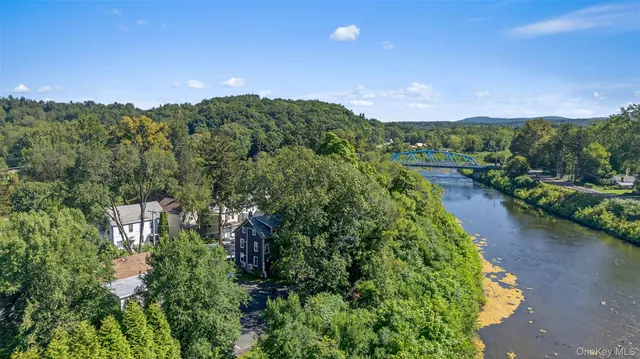 an aerial view of green landscape with trees houses and mountain view