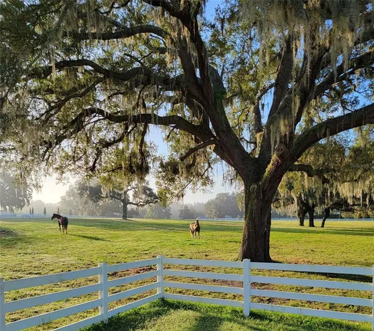 $2,495,000 | 209 Kentucky Blue Circle, Apopka, FL 32712
