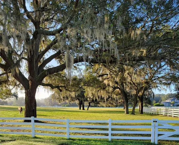 $2,495,000 | 209 Kentucky Blue Circle, Apopka, FL 32712