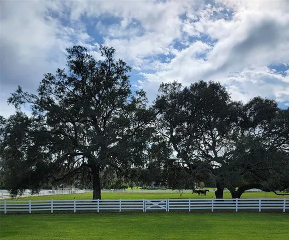 $2,495,000 | 209 Kentucky Blue Circle, Apopka, FL 32712