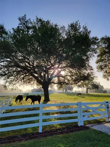 $2,495,000 | 209 Kentucky Blue Circle, Apopka, FL 32712