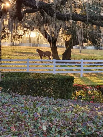 $2,495,000 | 209 Kentucky Blue Circle, Apopka, FL 32712