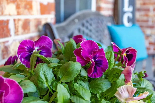 $382,000 | 2200 High Meadow Drive, Denton, TX 76208