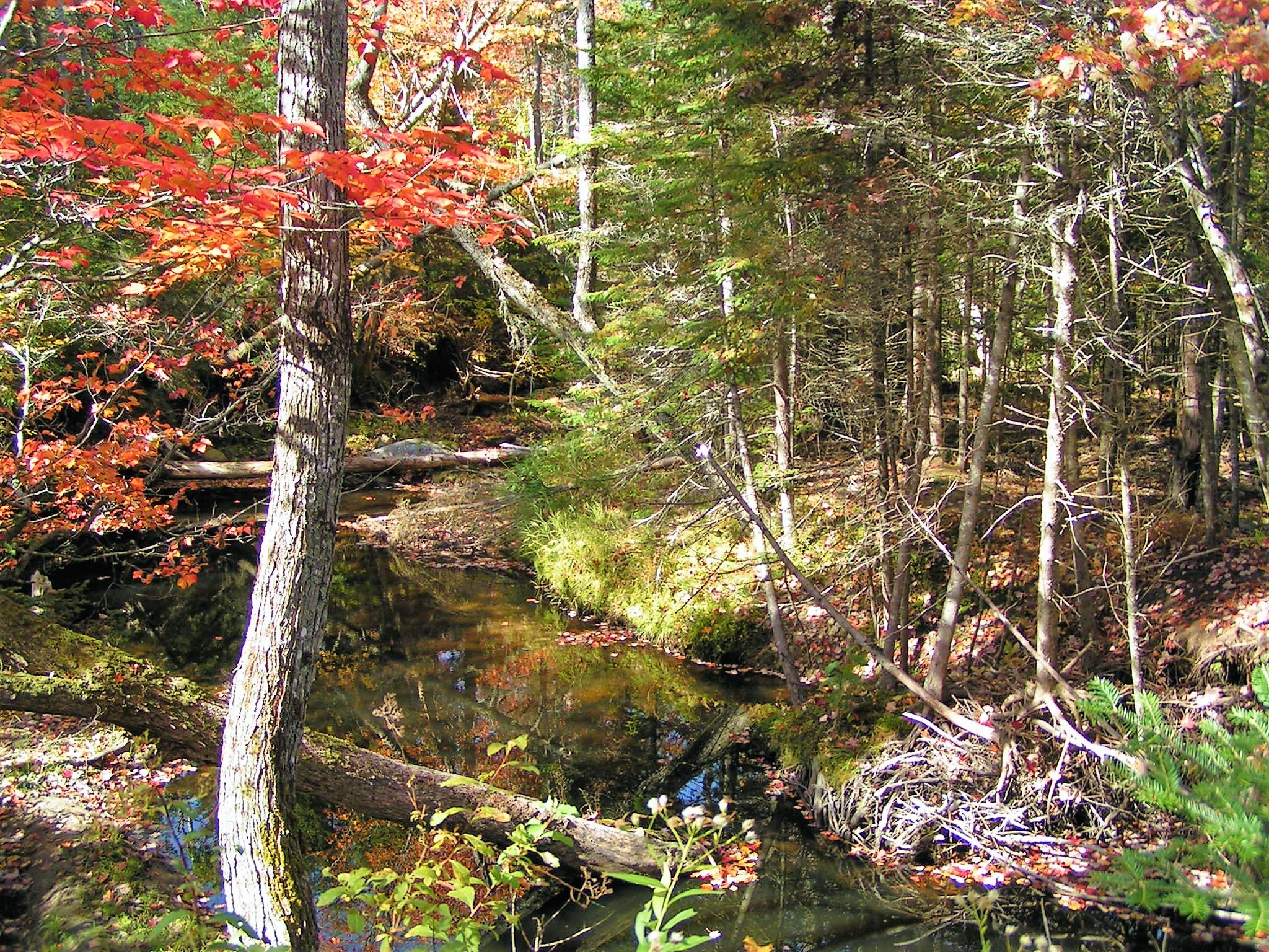 0 Buckfield Road South Paris, ME 04281 - Photo 8 of 11 PICT0038