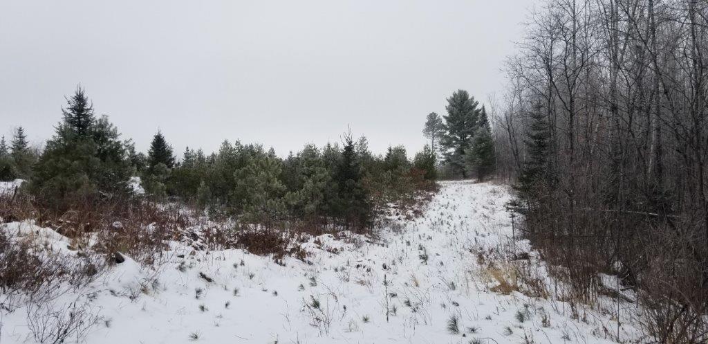 Off Jenny Lake Road, Unit LOT 7 Tomahawk, WI 54487 - Photo 3 of 6 Gallery Image 3