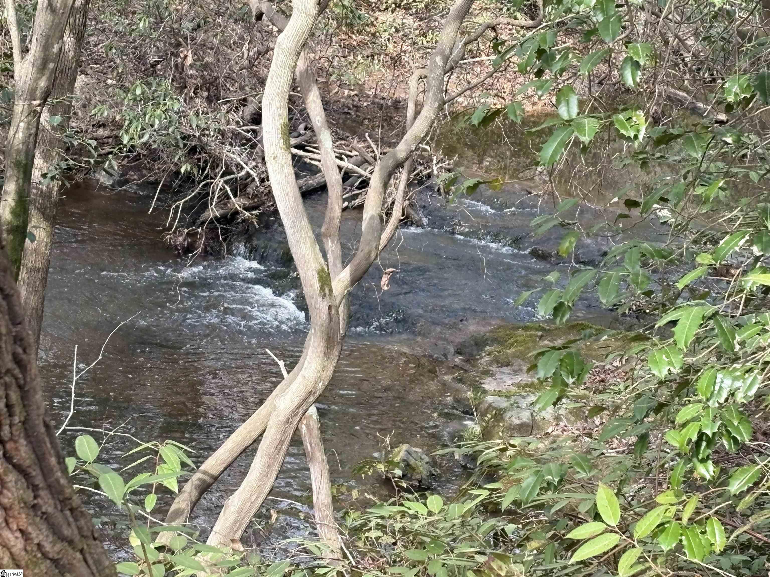 336 Berry Road Pelzer, SC 29669 - Photo 4 of 6