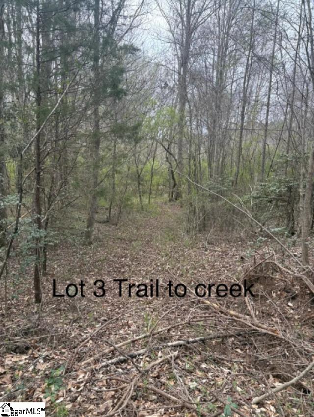 336 Berry Road Pelzer, SC 29669 - Photo 5 of 6