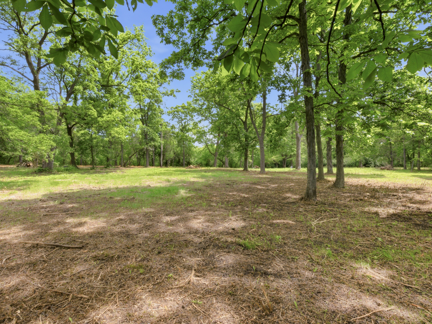 7N650 Sayer Road Bartlett, IL 60103 - Photo 2 of 13 a view of a field with trees in the background