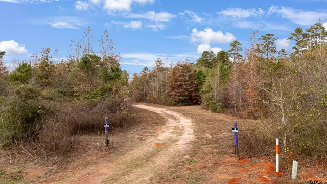 a view of a yard with trees in the background