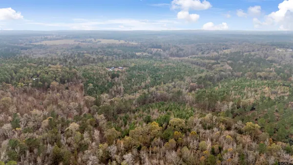 a view of a yard with wooden floor and bench