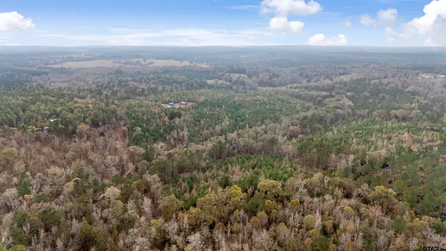 a view of a yard with wooden floor and bench