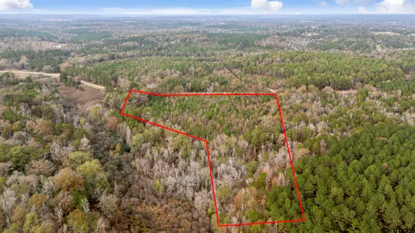 a view of a city with lush green forest