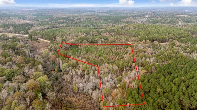 a view of a city with lush green forest