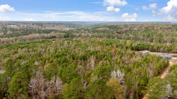 a view of an ocean and mountain