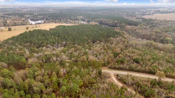 a view of a city with lush green forest