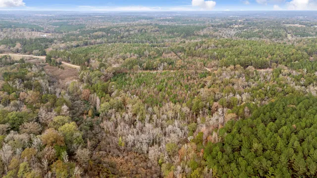 an aerial view of house with yard and mountain view in back