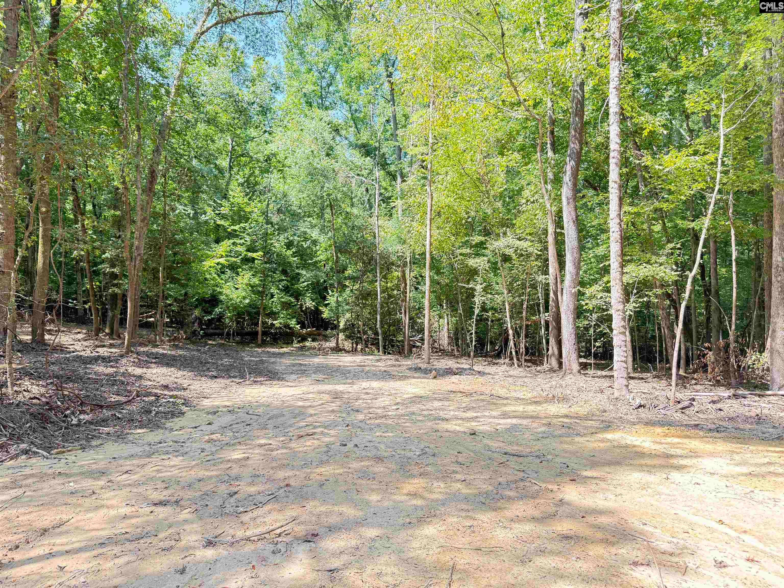 281 Douglas Road Pomaria, SC 29126 - Photo 24 of 24 Gallery Image 24