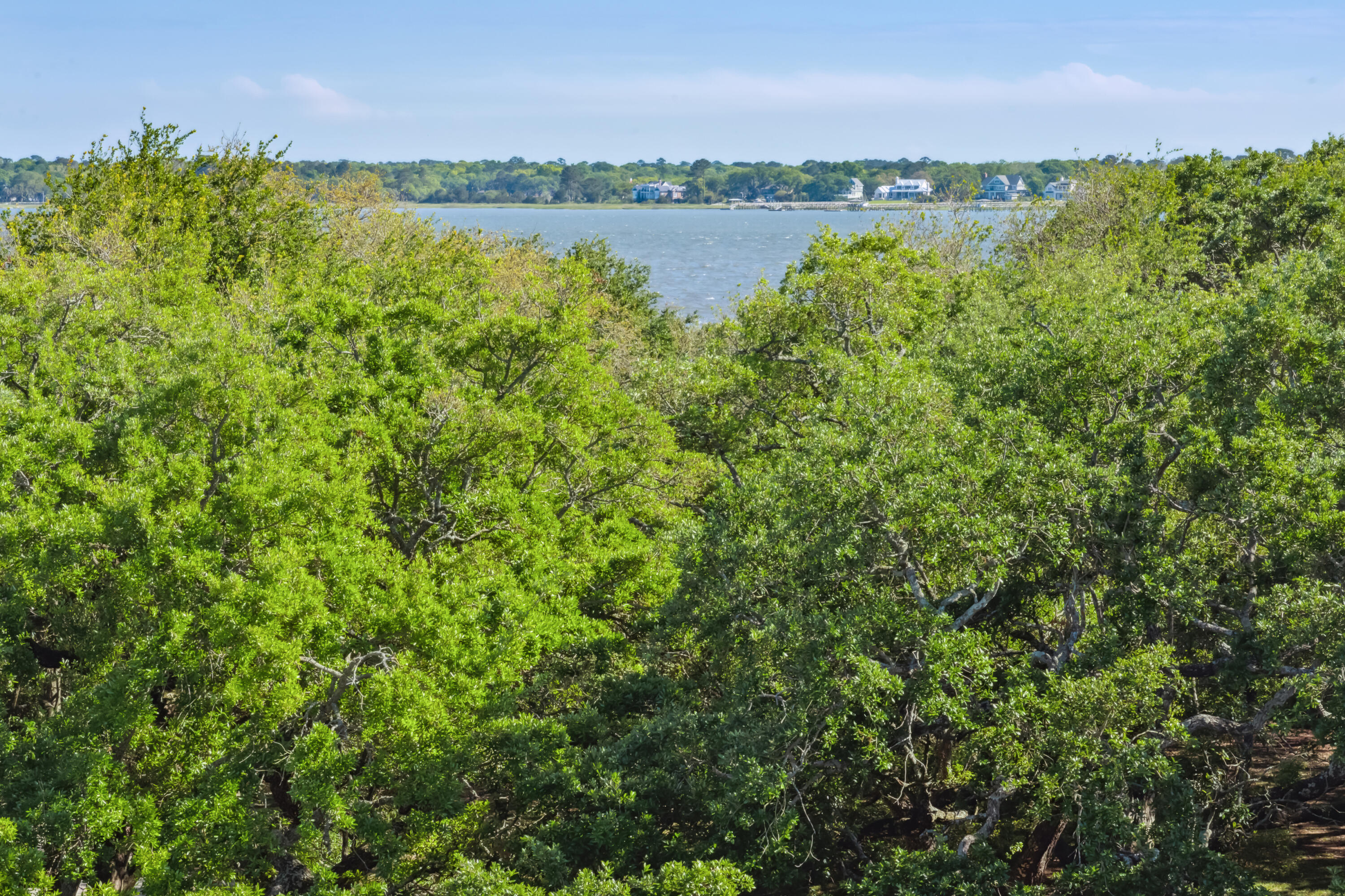 30 South Battery Charleston, SC 29401 - Photo 29 of 45 Views of White Point Garden & Harbor