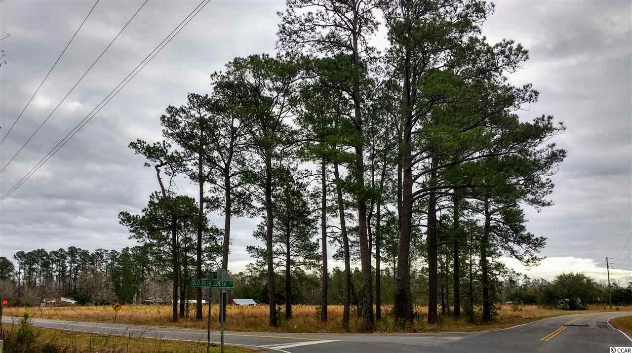 200 Pond Road Longs, SC 29568 - Photo 1 of 9
