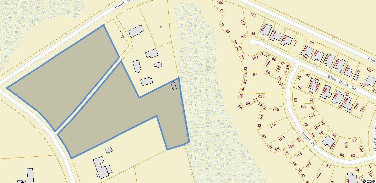 200 Pond Road Longs, SC 29568 - Photo 2 of 9