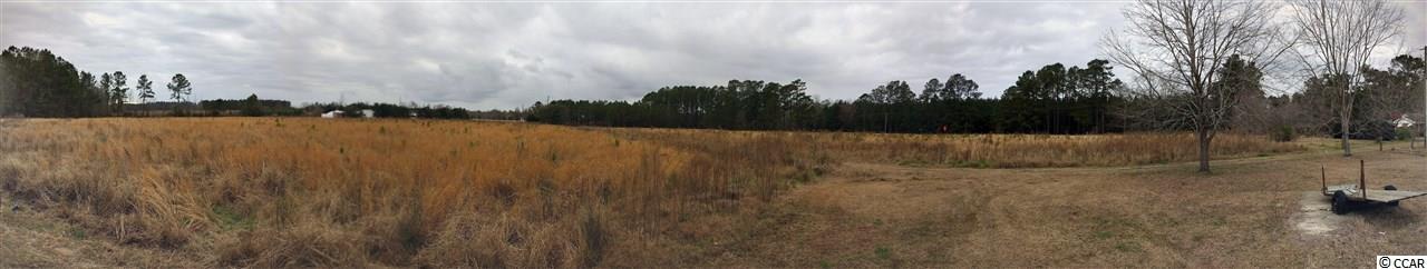200 Pond Road Longs, SC 29568 - Photo 4 of 9