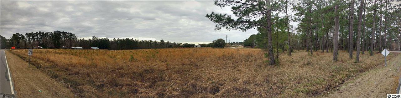 200 Pond Road Longs, SC 29568 - Photo 5 of 9