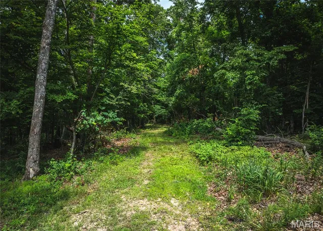 $110,000 | 3 Trails End Trail, House Springs, MO 63051
