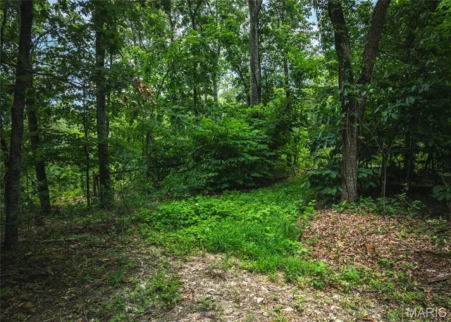 $110,000 | 3 Trails End Trail, House Springs, MO 63051