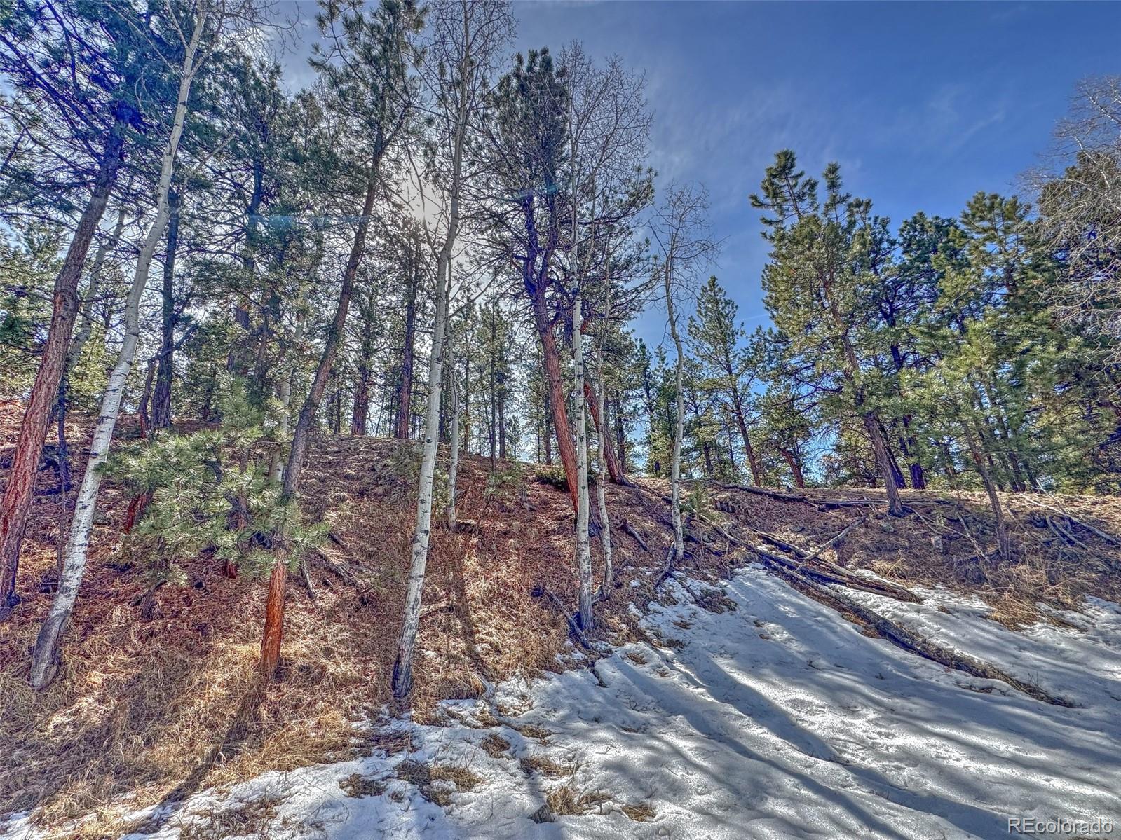 426 Arapahoe Road Westcliffe, CO 81252 - Photo 14 of 28