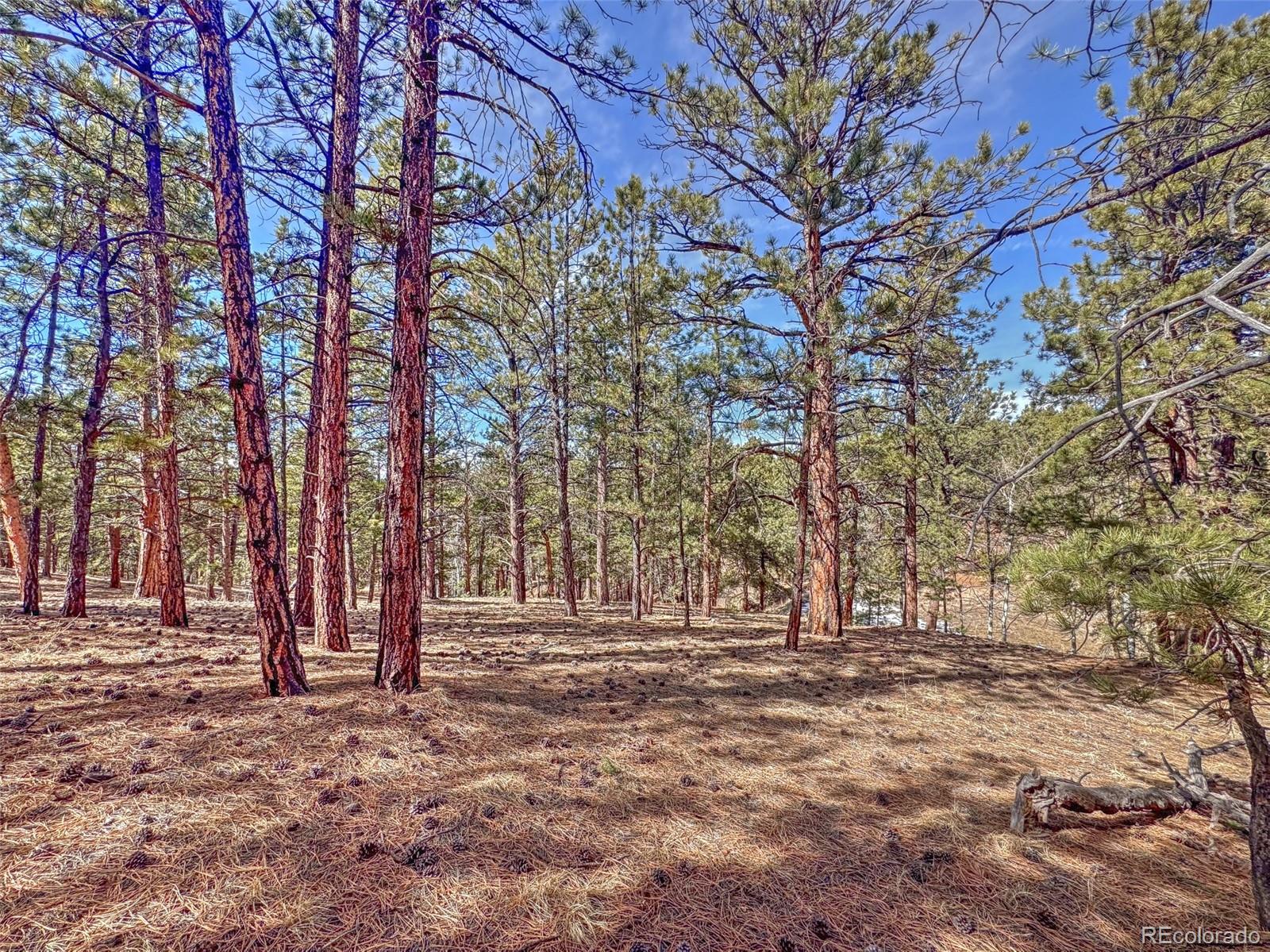 426 Arapahoe Road Westcliffe, CO 81252 - Photo 15 of 28