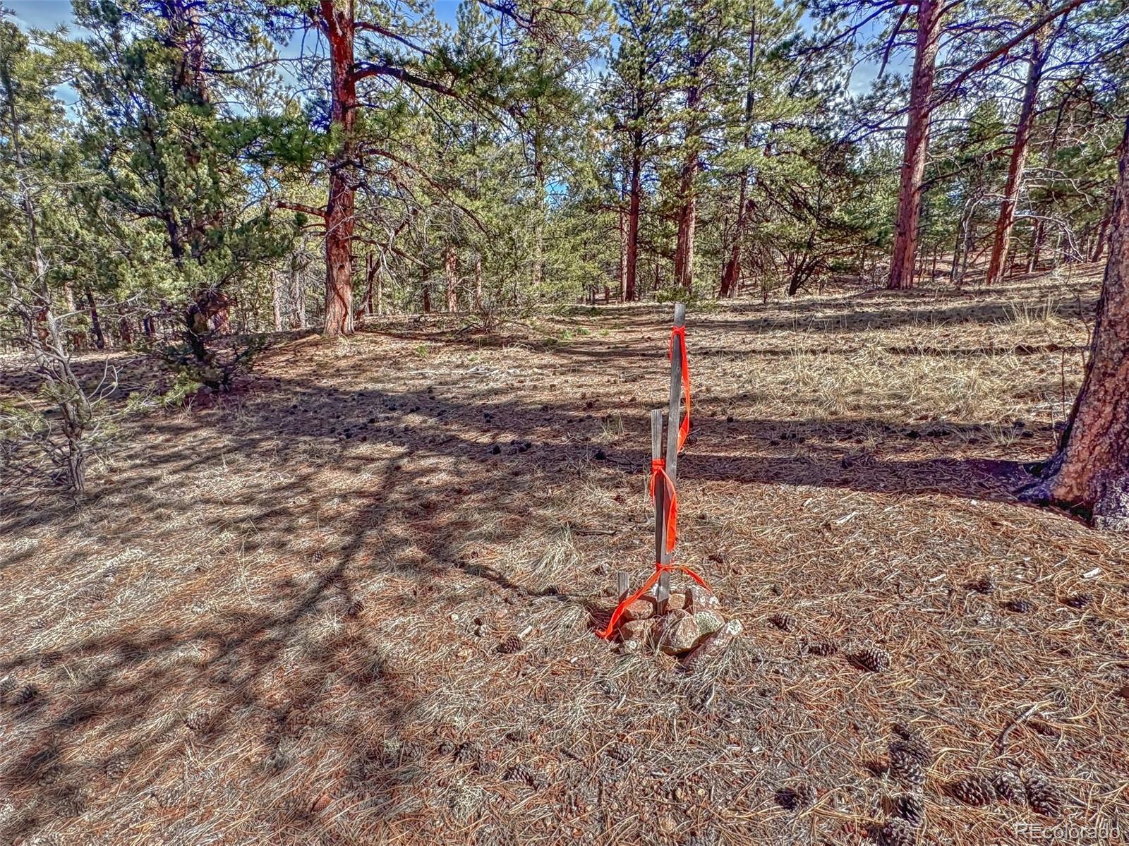 426 Arapahoe Road Westcliffe, CO 81252 - Photo 16 of 28