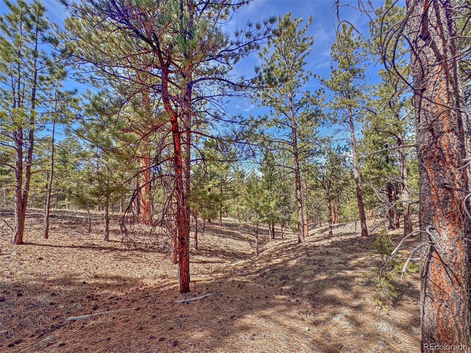 426 Arapahoe Road Westcliffe, CO 81252 - Photo 17 of 28