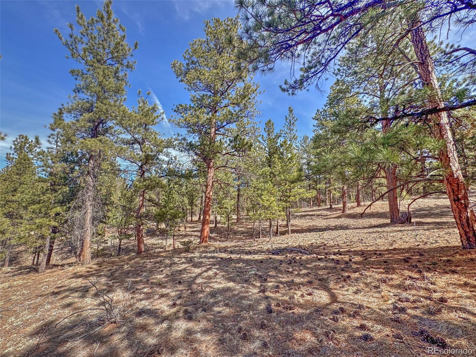 426 Arapahoe Road Westcliffe, CO 81252 - Photo 19 of 28